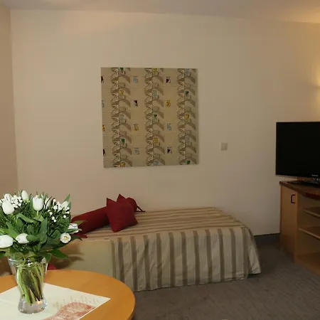 Vitalotel Roonhof Hotel 4*